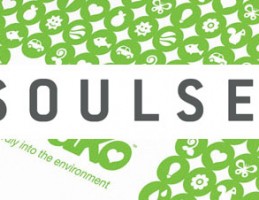 soulsevern