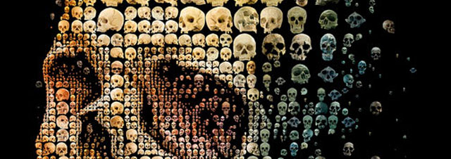 The most beautiful skull you’ve ever seen!