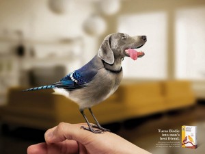 MonstersAdvertisements_Using_Animals_03