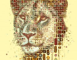 Kozi-Lioness-Charis-Tsevis-1