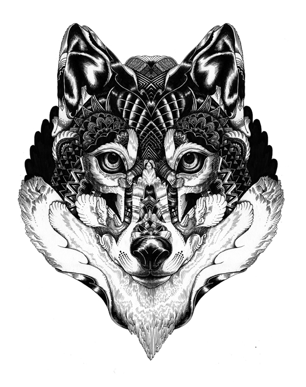 Fascinating Wildlife Illustrations and More by Iain Macarthur