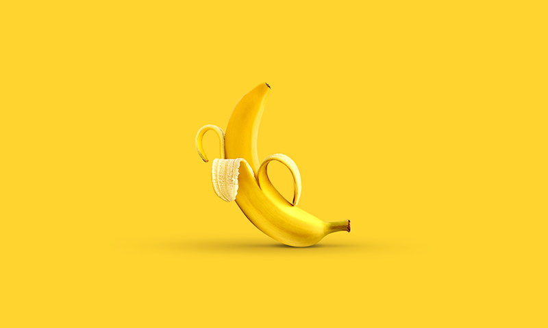The Conceptual Experimental Projects of Daniel Forero