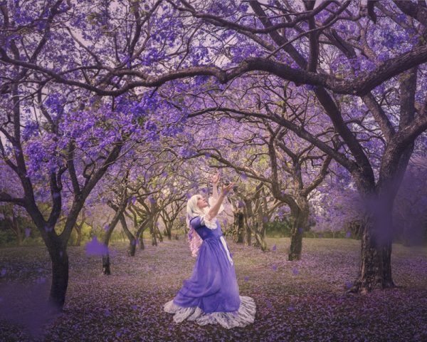 Dance of the Jacarandas