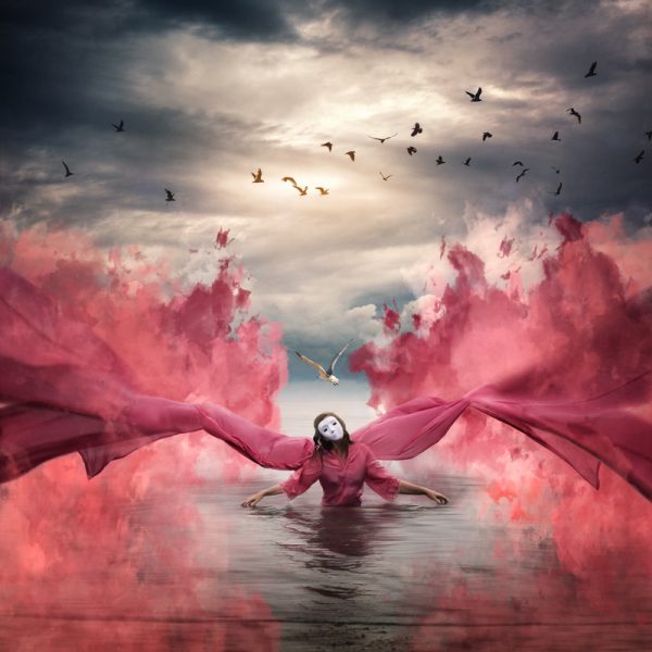 Metamorphosis